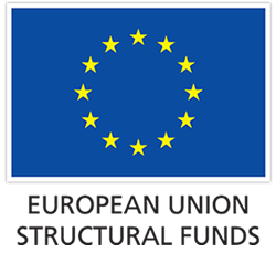 The macro-economic conditionality, the story of a triple penalty for regions - Institut Jacques Delors